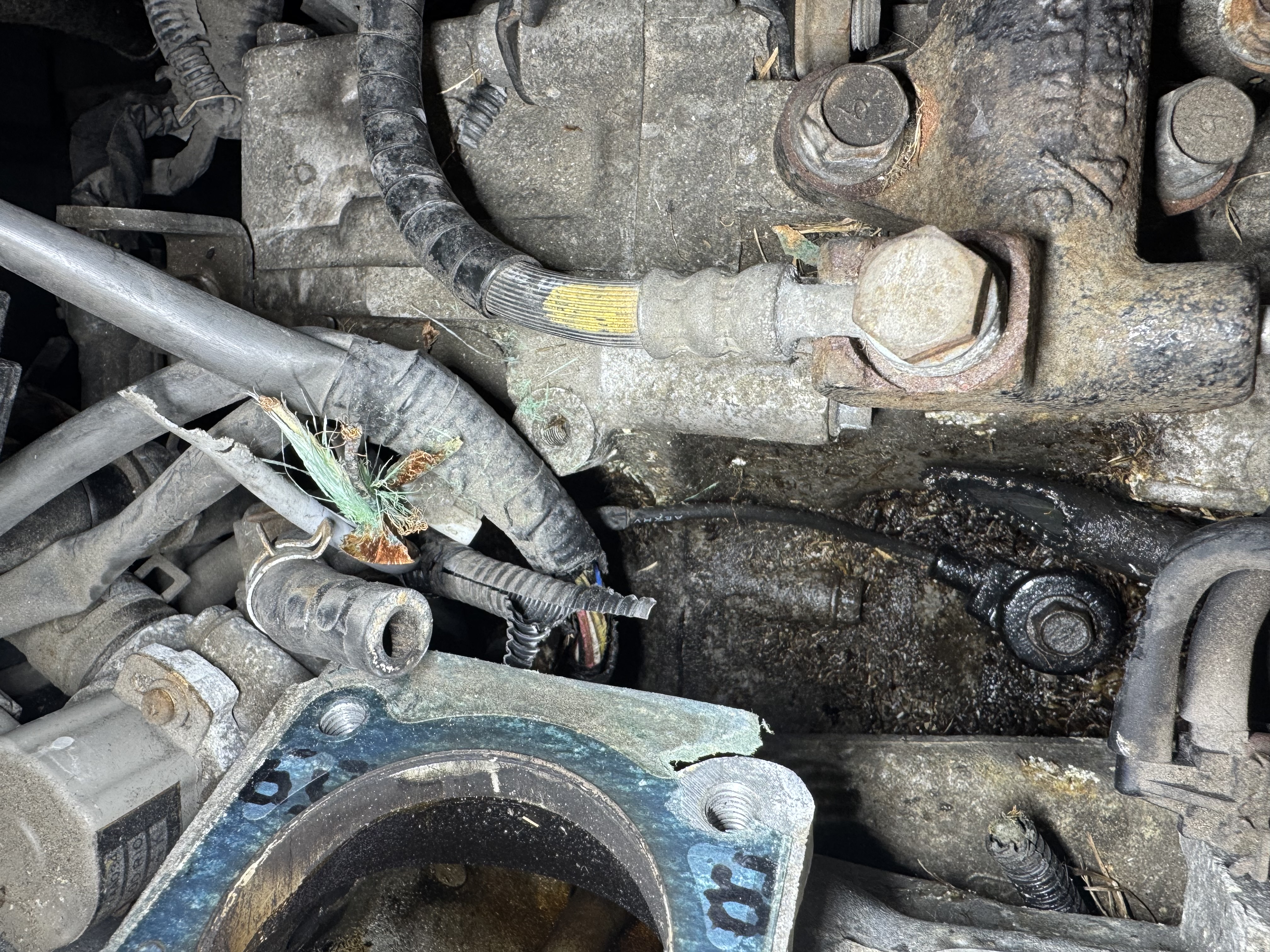 Cranks But Won’t Start—Can You Spot the Problem?
