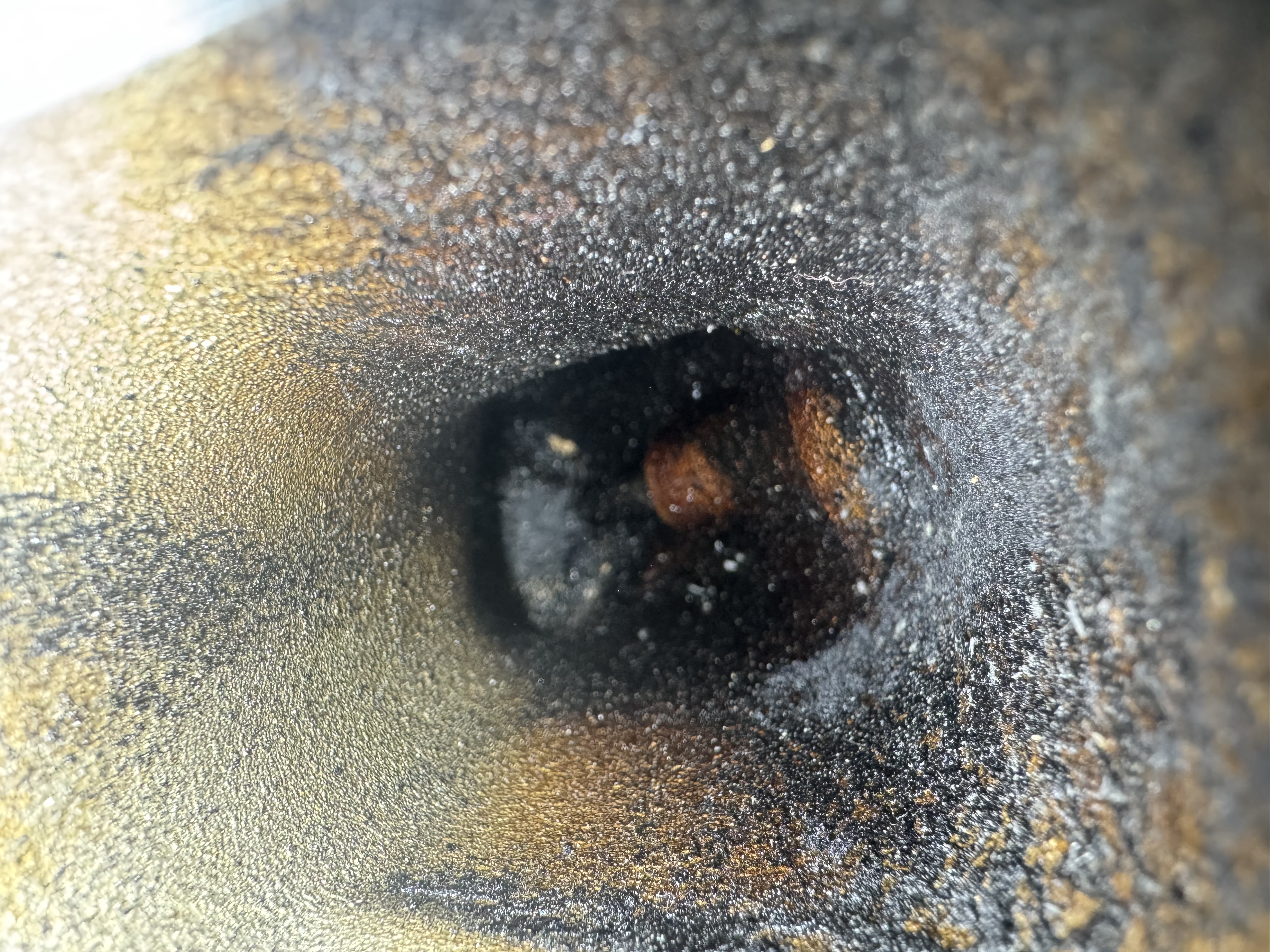 Why This GM Was Misfiring: Direct‑Injected Valve Carbon