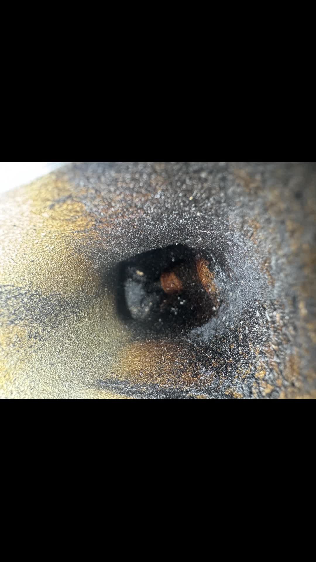 Why This GM Was Misfiring: Direct‑Injected Valve Carbon