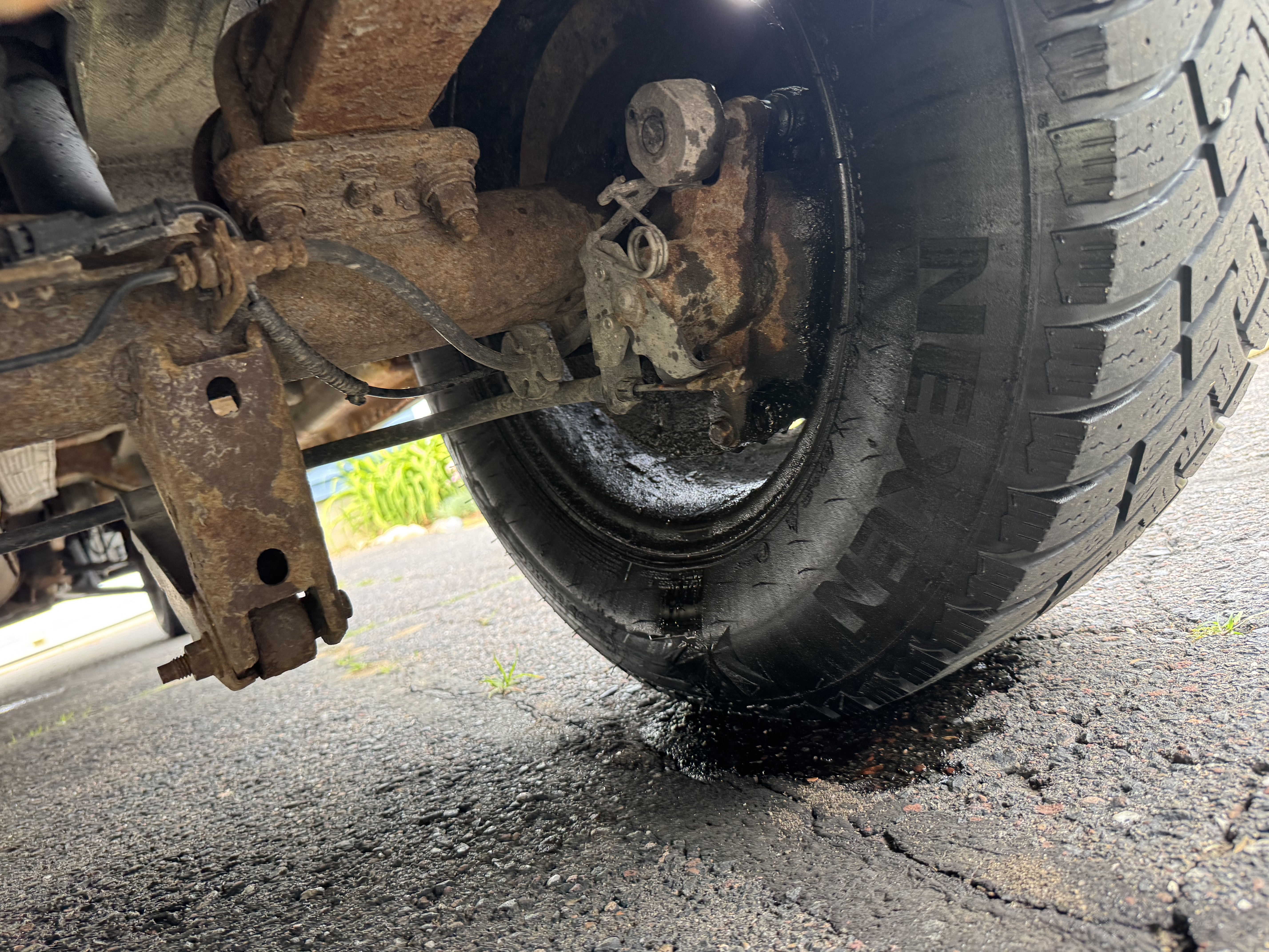 Is Your Rear Axle Seal Leaking? What We Found at College Highway Auto