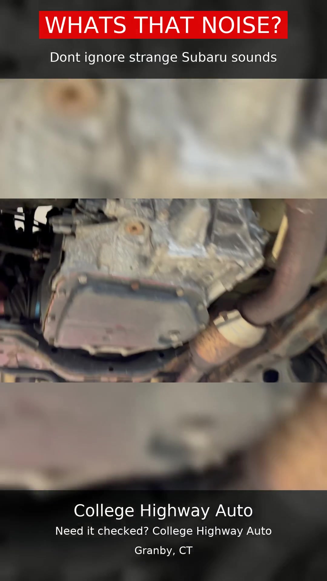 What’s That Noise? Front Diff Gave Up on “Lifetime” Fluid